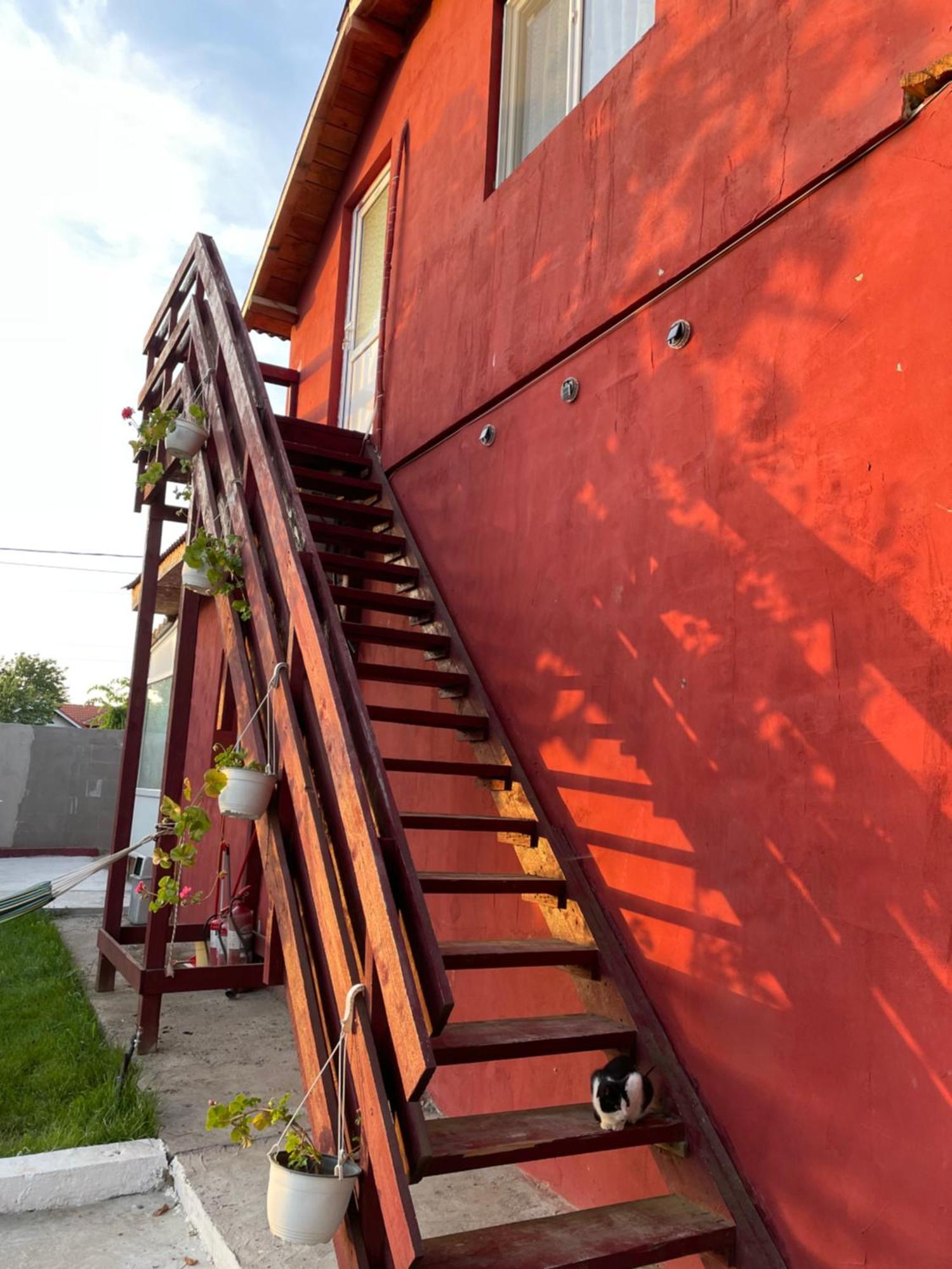 Casa Ionut Lägenhet Corbu  Exteriör bild