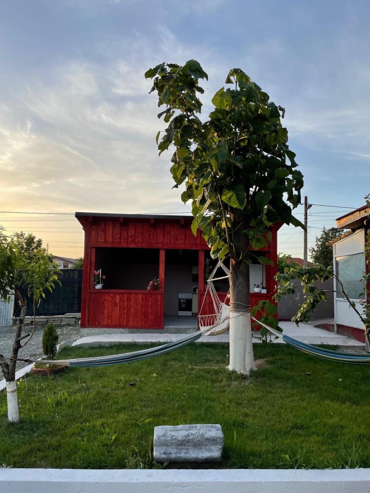 Casa Ionut Lägenhet Corbu  Exteriör bild